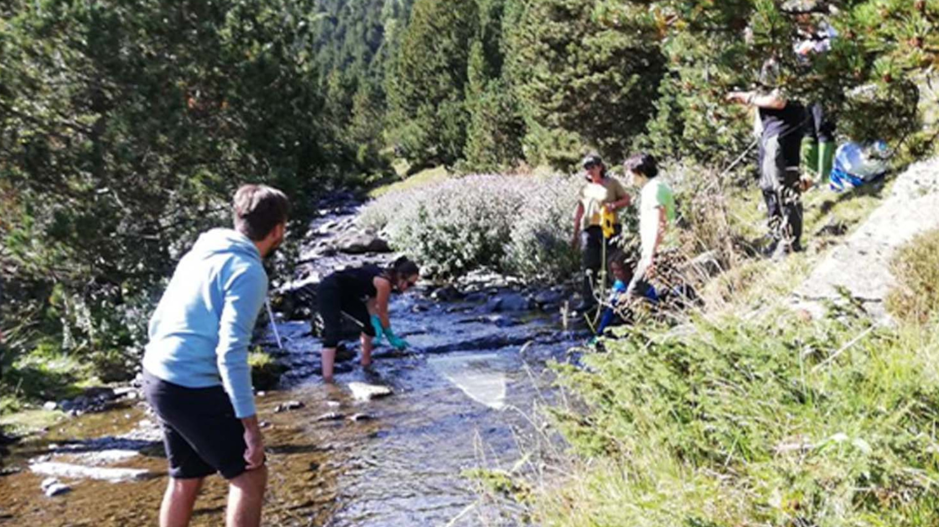 Contribució de les entitats excursionistes a la reducció de la contaminació per plàstics als ecosistemes de muntanya